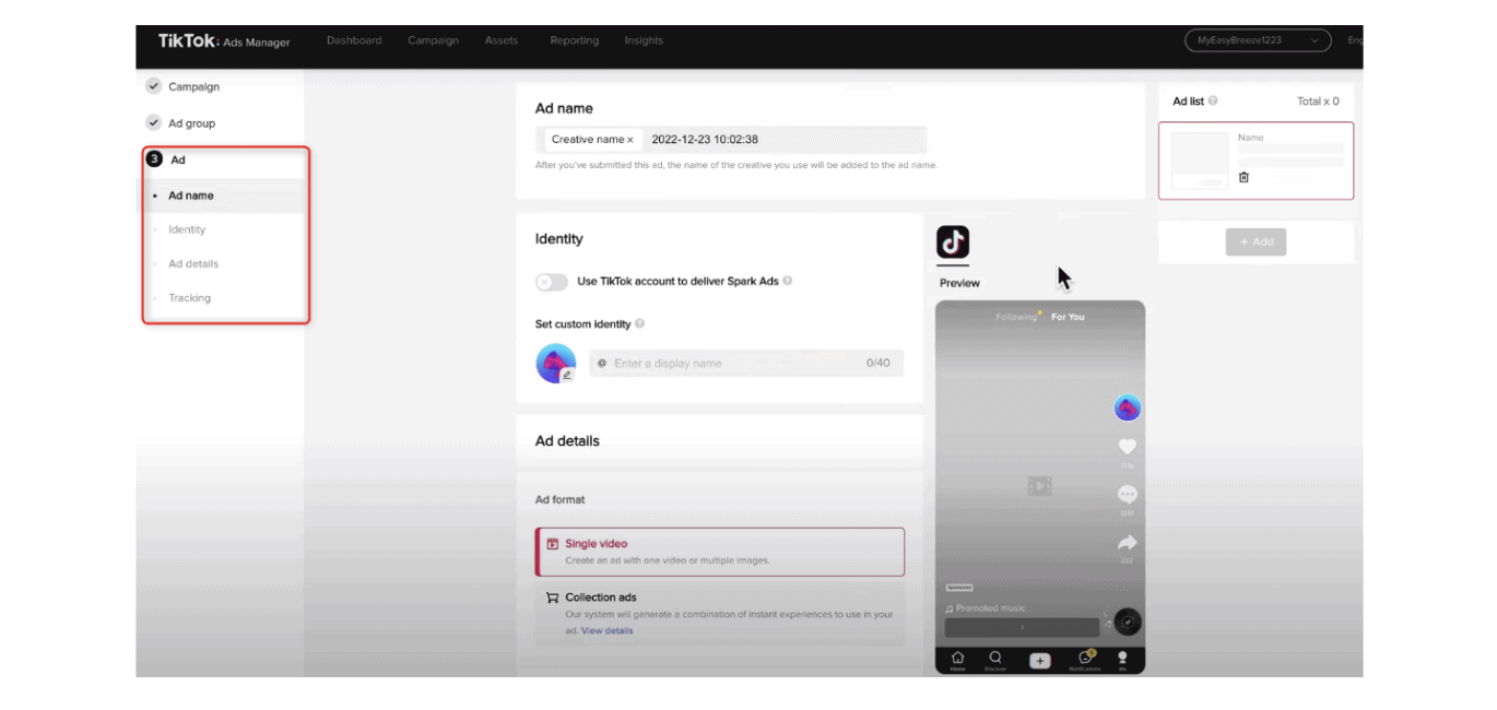 TikTok Ad Level